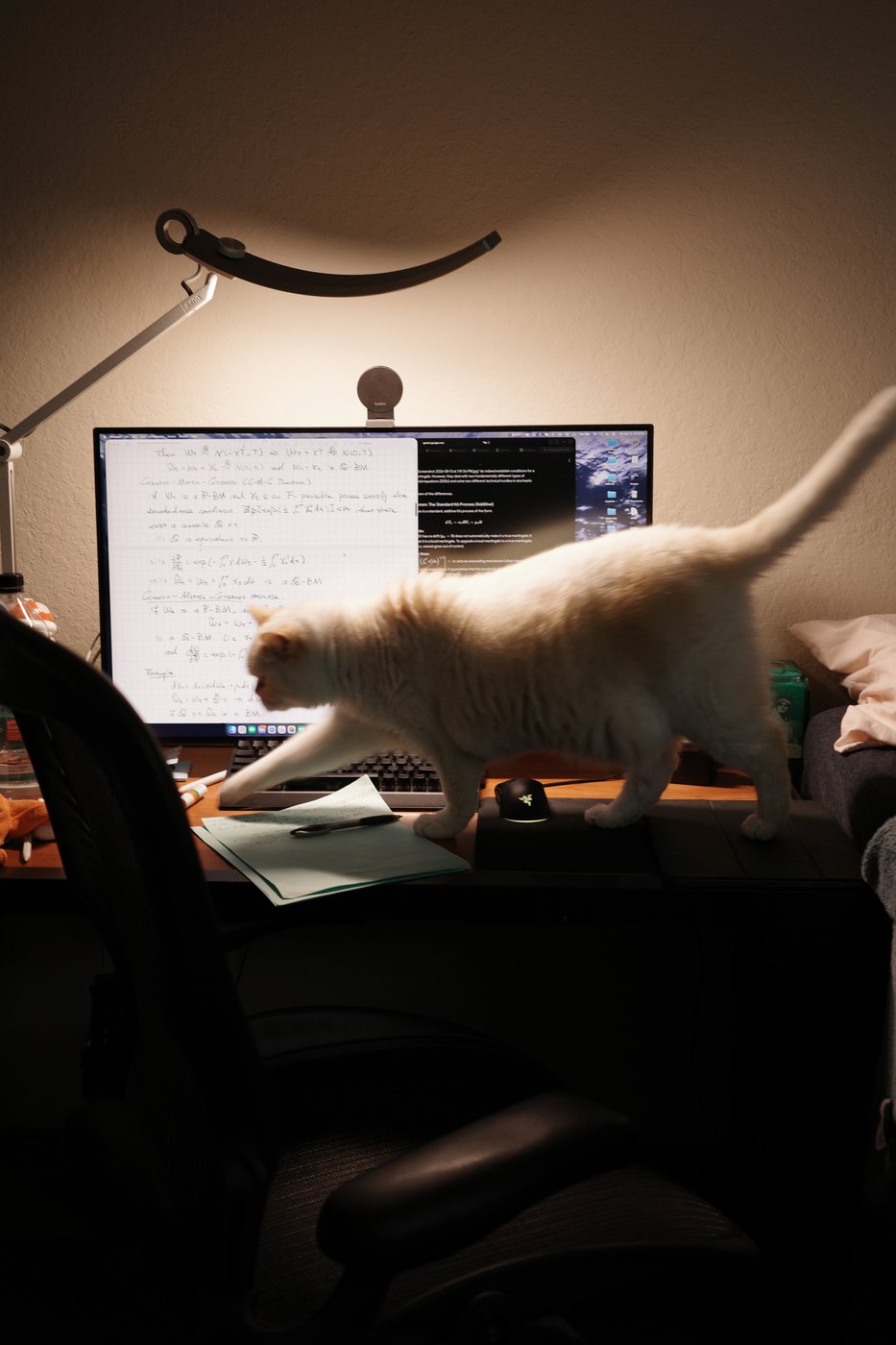 Xiuxiu walking across the desk in front of a monitor of handwritten notes